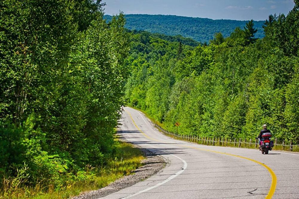 The Highlands Community represented by Patrick McAuley